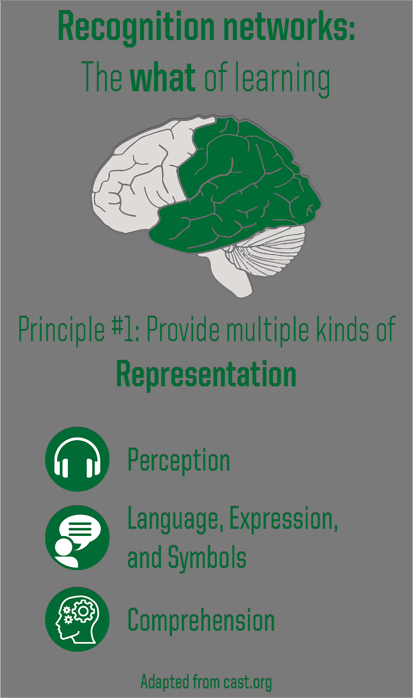 Recognition networks: the what of learning Provide multiple kinds of representation