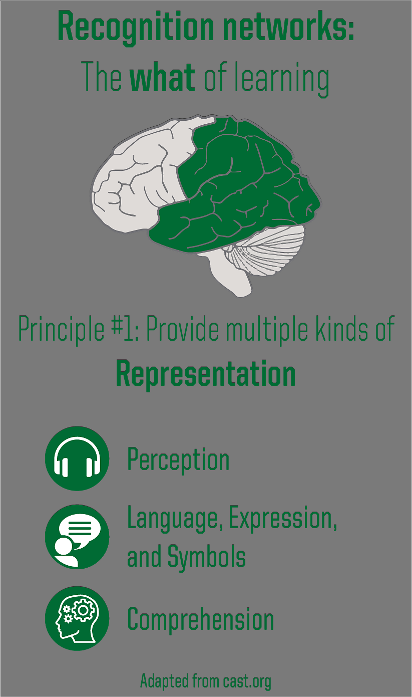 Provide multiple kinds of representation
