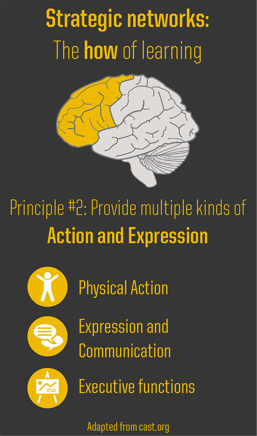 Provide multiple kinds of action and expression